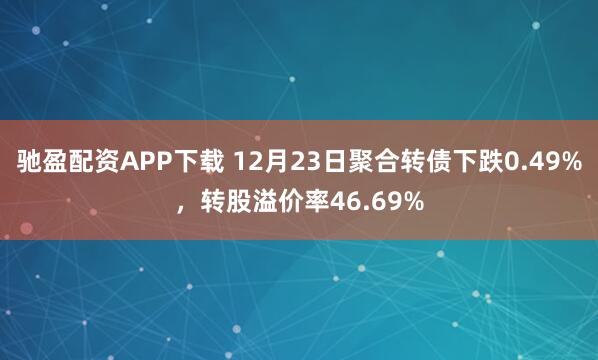 驰盈配资APP下载 12月23日聚合转债下跌0.49%,转股溢价率46.69%